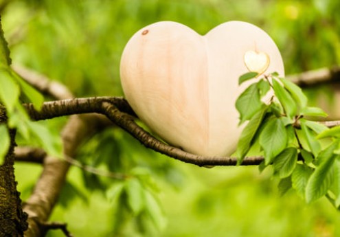 Assistenza e consulenza a Merano impresa di onoranze funebri