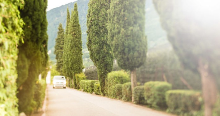 Organizzazione del trasporto verso il cimitero Trasporti a livello nazionale e internazionale