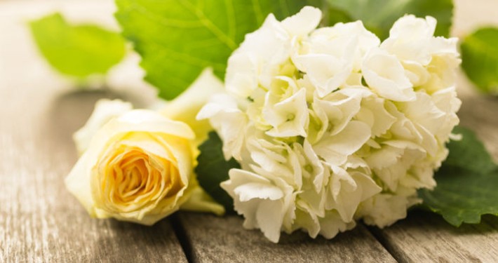 Bestattung Theiner in Meran kümmert sich um bürokratische Angelegenheiten